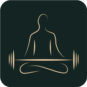 Bodhiflow Logo – Symbol für die Einheit aus weiblicher Physiologie, somatischer Praxis und wissenschaftlich fundiertem Krafttraining